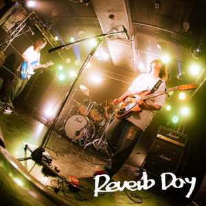 Reverb Day