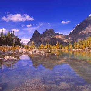 沉醉于你的迷恋