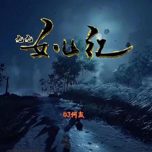 唐薇-九九女儿红（DJ何友版）