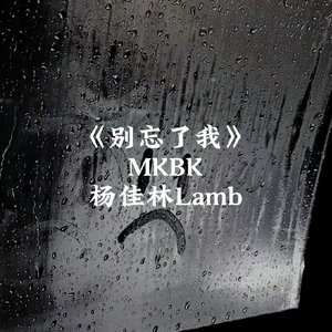 别忘了我 Prod.by杨佳林Lamb