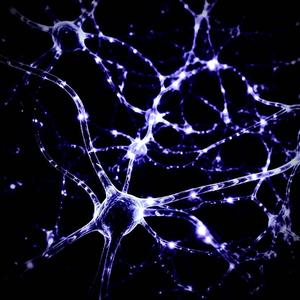 SYNAPSY
