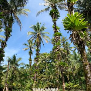 适合居家办公完美音乐