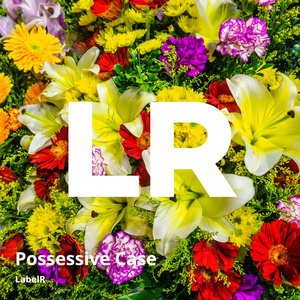Possessive Case