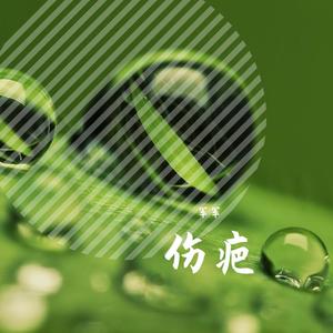 夏沫 (精美音乐)