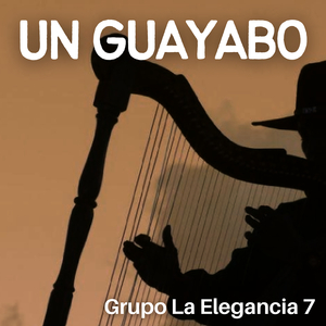 Un Guayabo