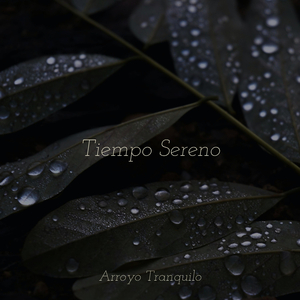 Manifestación De Los Sueños