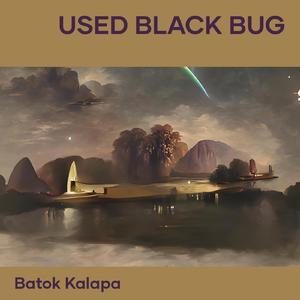 Used Black Bug