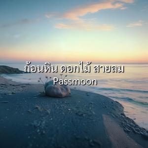 ก้อนหิน ดอกไม้ สายลม