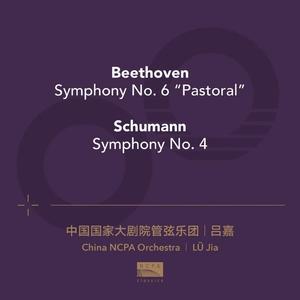 贝多芬：F大调第六交响曲"田园"：第四乐章 · 快板 · 暴风雨（Beethoven: Symphony No. 6 in F Major "Pastoral" IV. Allegro - Gewitter, Sturm）