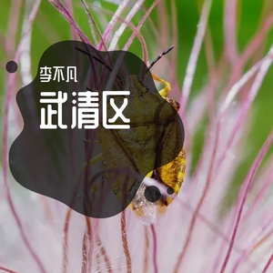 第三方