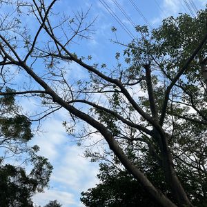 流星曳梦银河间