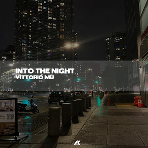 Firmware (Radio Edit)