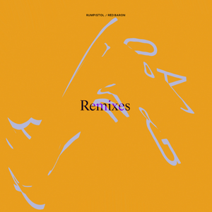 Water Mirror (Bjørn Svin Remix)