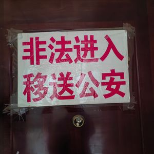 藏在房间的猫