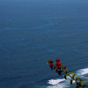 几百个日夜 (1.2x)