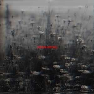 Pessimist