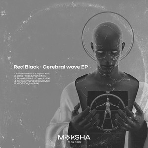 Parallel Wink (Original Mix)