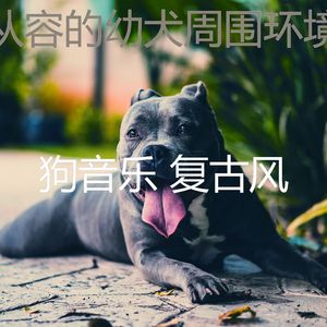 优美训练犬器乐