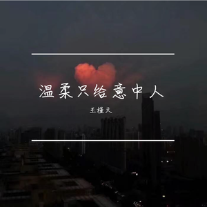 温柔只给意中人