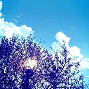 Walking in the forest