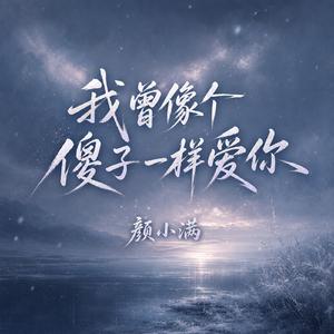我曾像个傻子一样爱你