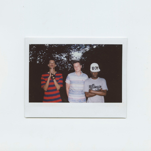 stung by a bee (single version)