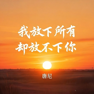 我放下所有却放不下你