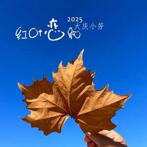 红叶恋歌（2025）