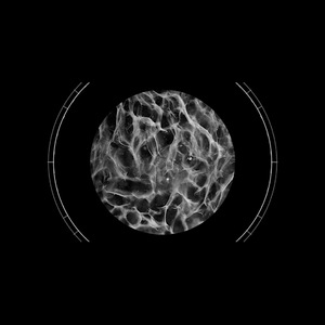 A Better Way To Bleed