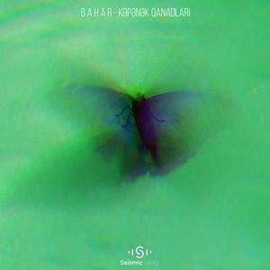 Kəpənək Qanadları