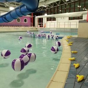 the old times flying away