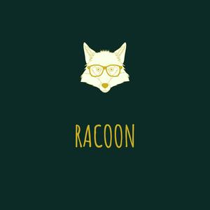 Racoon