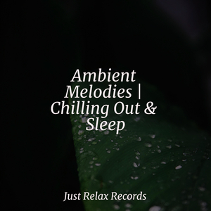 Resounding Life Pulse