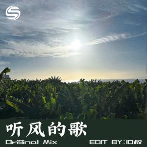 听风的歌（DJ10叔版）