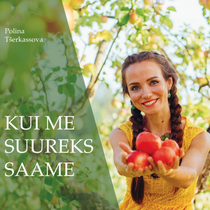 Puuraidur (türgi muinasjutt)