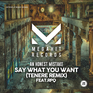 Say What You Want (Tenere Remix)