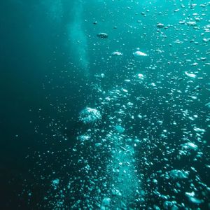 99 %is dying in the water