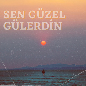 Sen Güzel Gülerdin