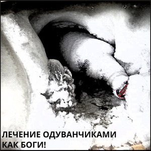 Укачало