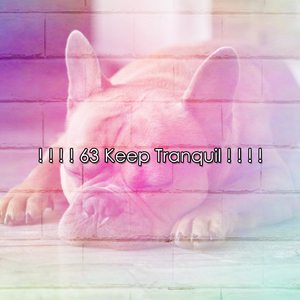 平靜的夜晚休息