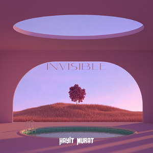Invisible (Hayit Murat)