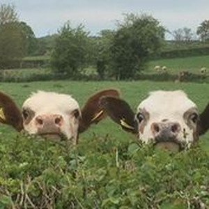 On That Time (slowed)