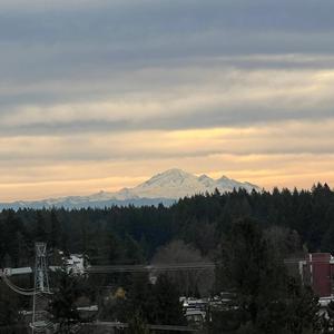 고마 해라... 마이 들었다 아이가?