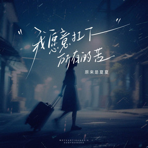 我愿意扛下所有的苦