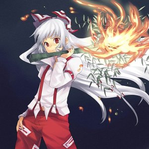 上海アリス幻樂団-藤原妹红大战三城管（古明地页页 remix）