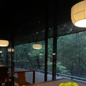 雪花飘（+春风吹）