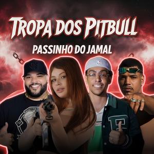 Passinho do Jamal / Tropa dos Pitbull