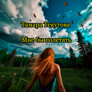 Мне бы полетать