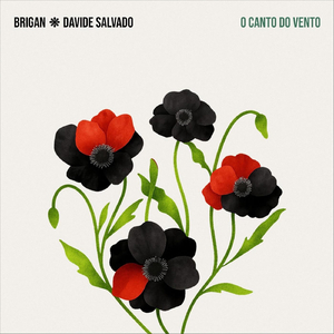 O Canto Do Vento