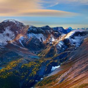 舞动着梦想的羽翼